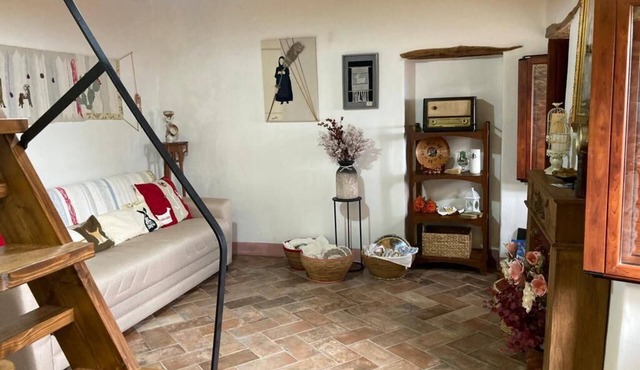 Grandma Monserrata's house, a blast from the past, pets allowed