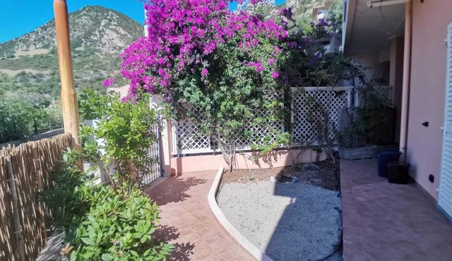 Ground floor apartment with small garden pets allowed