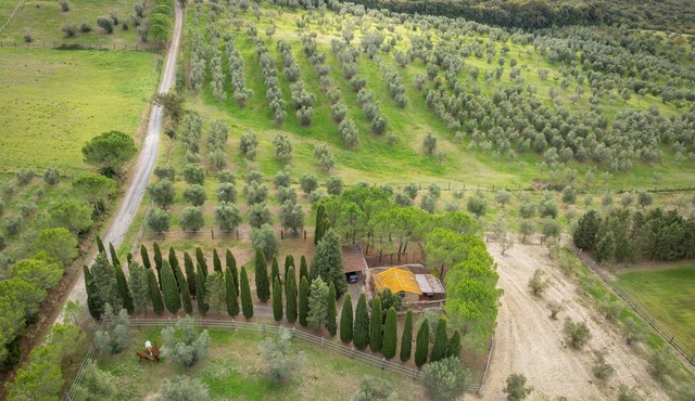 Holiday Home 'I Mandrioli' with Private Terrace, Wi-Fi and Air Conditioning