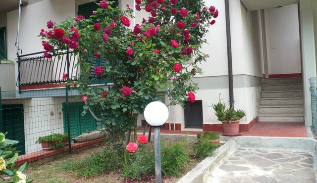 House with garden, close to the beach