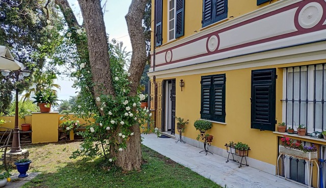 Immerse yourself in the magic of Nervi