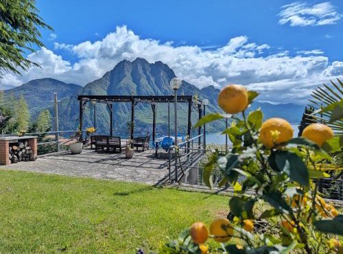 La casa del cedro