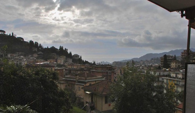 Mandorlo
