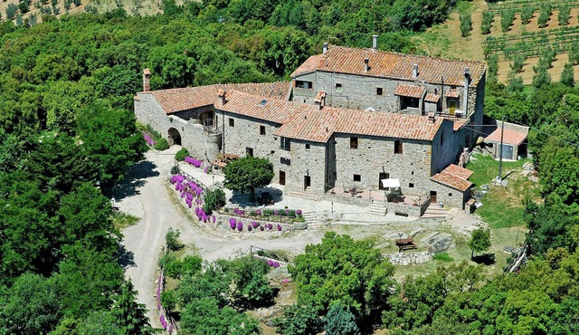 Mimosa - Borgo la Civitella by Interhome