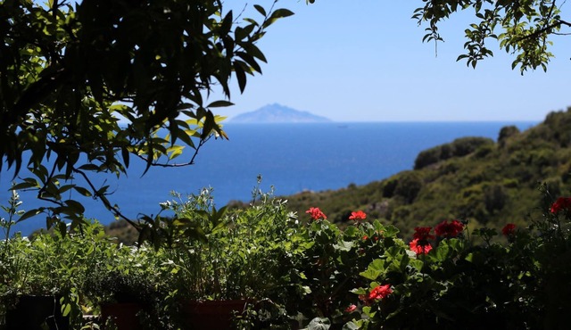 Montecristo two-room apartment.Terrace
