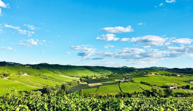 PANORAMIC VILLA IN THE HILLS OF MONFERRATO