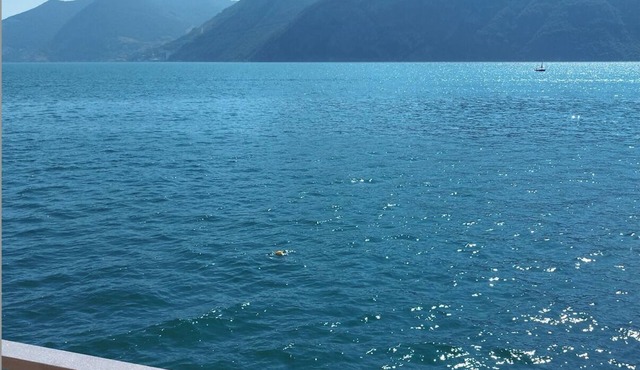Peaceful Lakefront