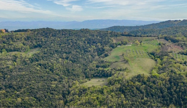 Rustic accommodation in nature for four people with pet in the middle of Tuscany.