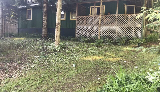 Rustic cabin on Daniel's Pond.