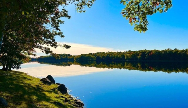 Rustic Cabin on Penobscot River (Pet-Friendly!)