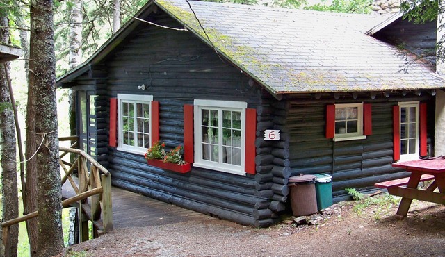Rustic, split-level log cottage, River-view, Pet-friendly, Downeast Maine