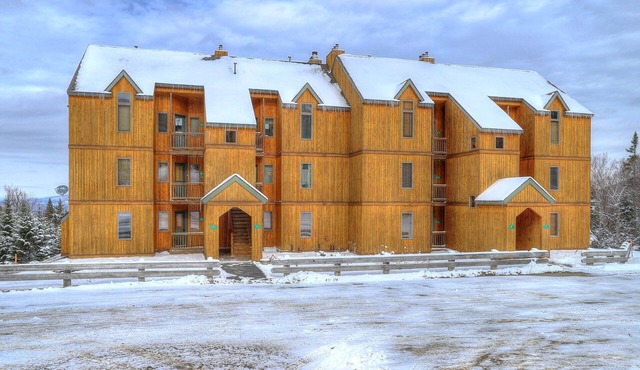 Saddleback - South Branch Condo 7-1