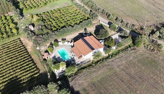 Spacious luxury villa with private swimming pool