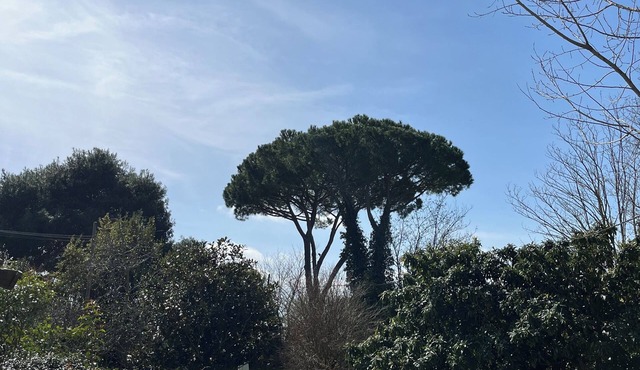 Sulla Strada del Mare is a comfortable apartment immersed in nature.