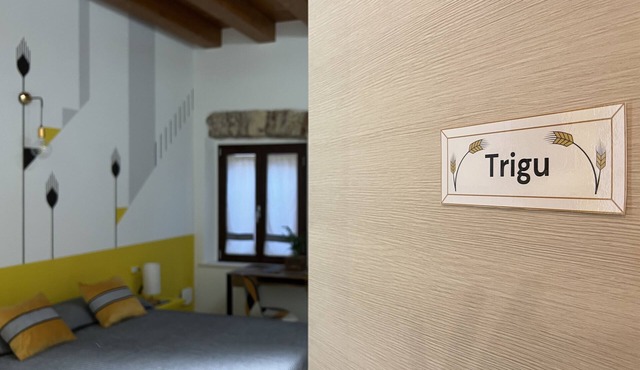 Trigu & Mangoni - Trigu Room