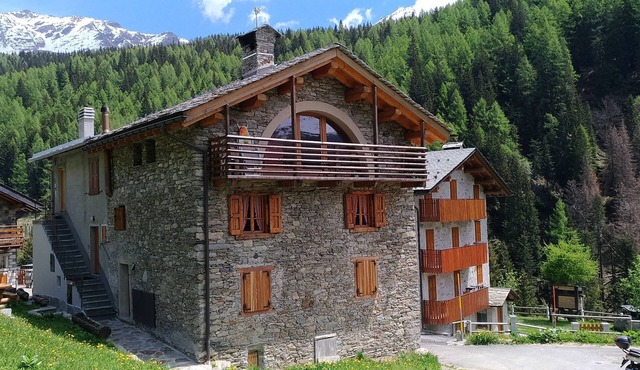 TRUE ALPINE RUSTIC