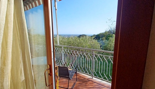 Verde Mare apartment with sea view surrounded by ancient olive trees animals allowed