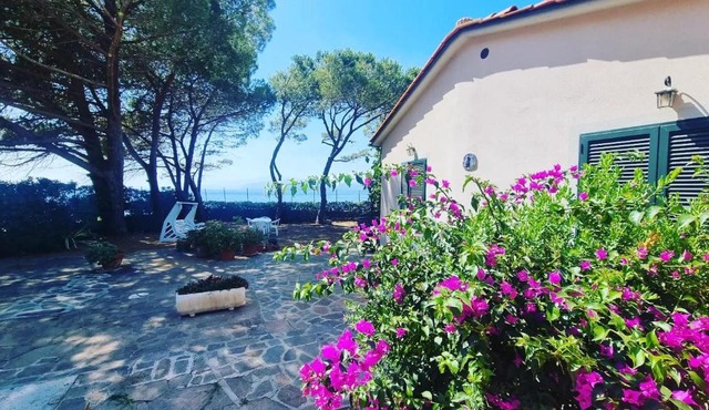 Villa dei Cavallucci Marini