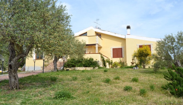 Villaial, recent, with swimming pool, surrounded by greenery among olive trees