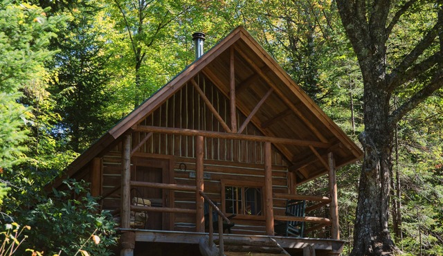 Wildlife Haven, Remote Cabin, Boats Included, Shared Bath