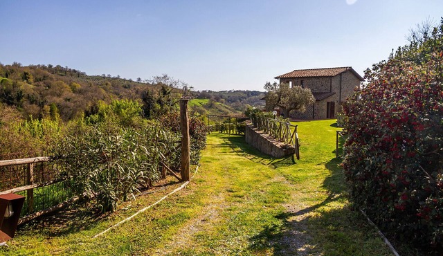 Your home with a view in Scansano, Tuscany