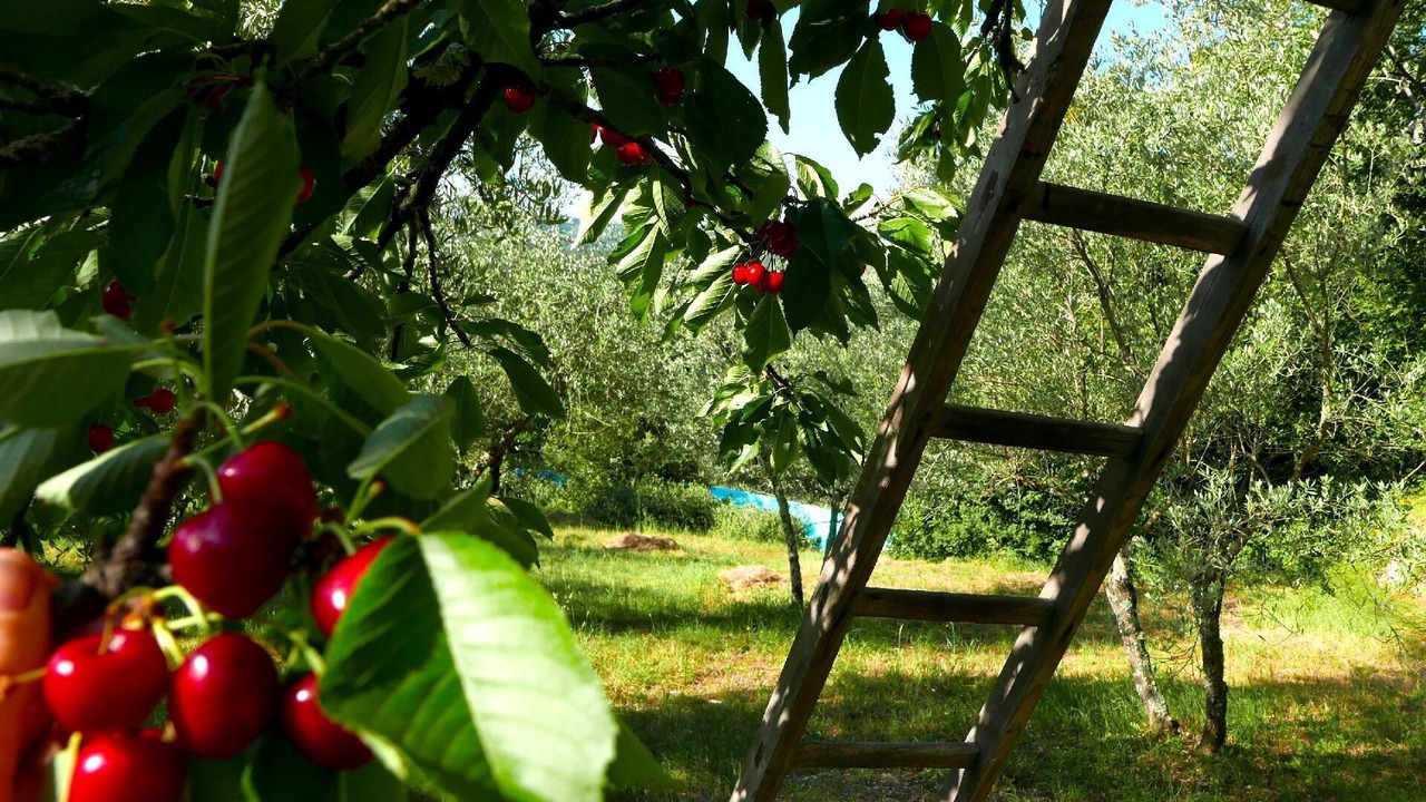 Photo of Outdoor in Ciciano
