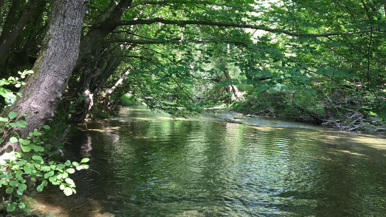 Photo of Outdoor in Ciciano