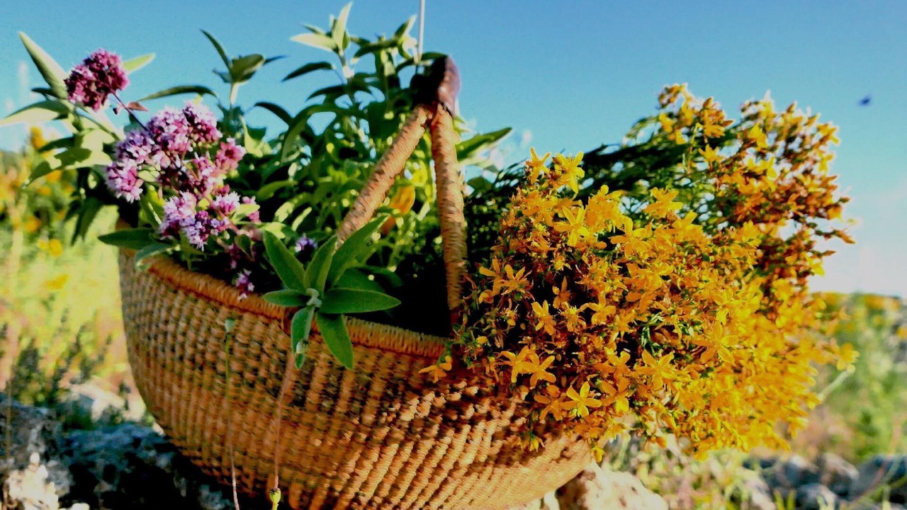 Photo of Outdoor in Ciciano