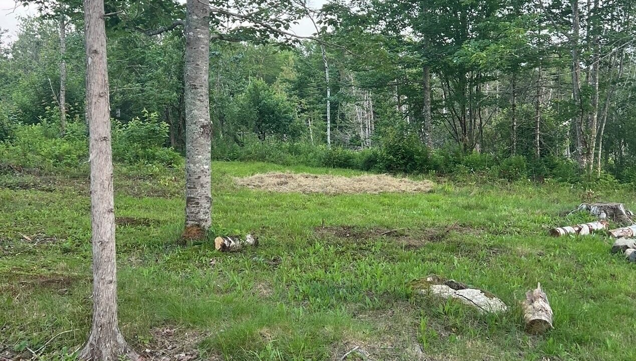 Photo of Outdoor in Columbia Falls