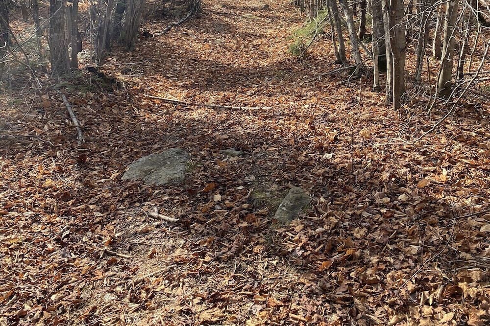 Photo of Outdoor in Rangeley