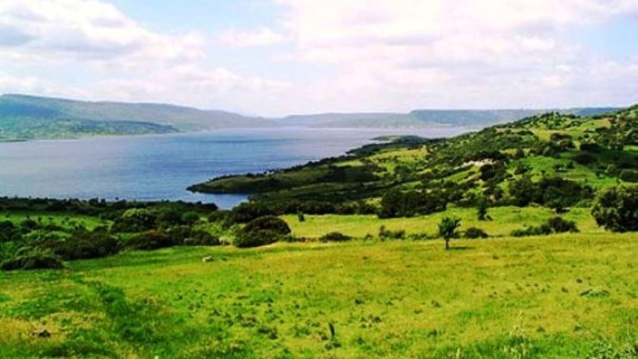 Photo of Outdoor in Norbello