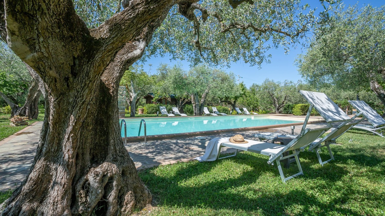 Photo of Outdoor in Scarlino