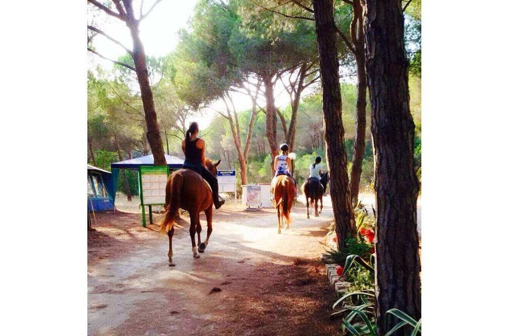 Photo of Outdoor in Narbolia
