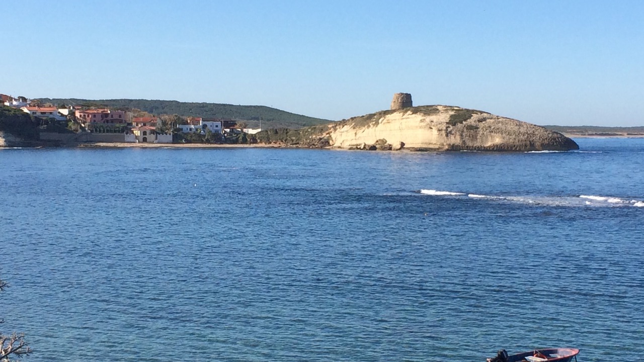 Photo of Others in Porto Alabe