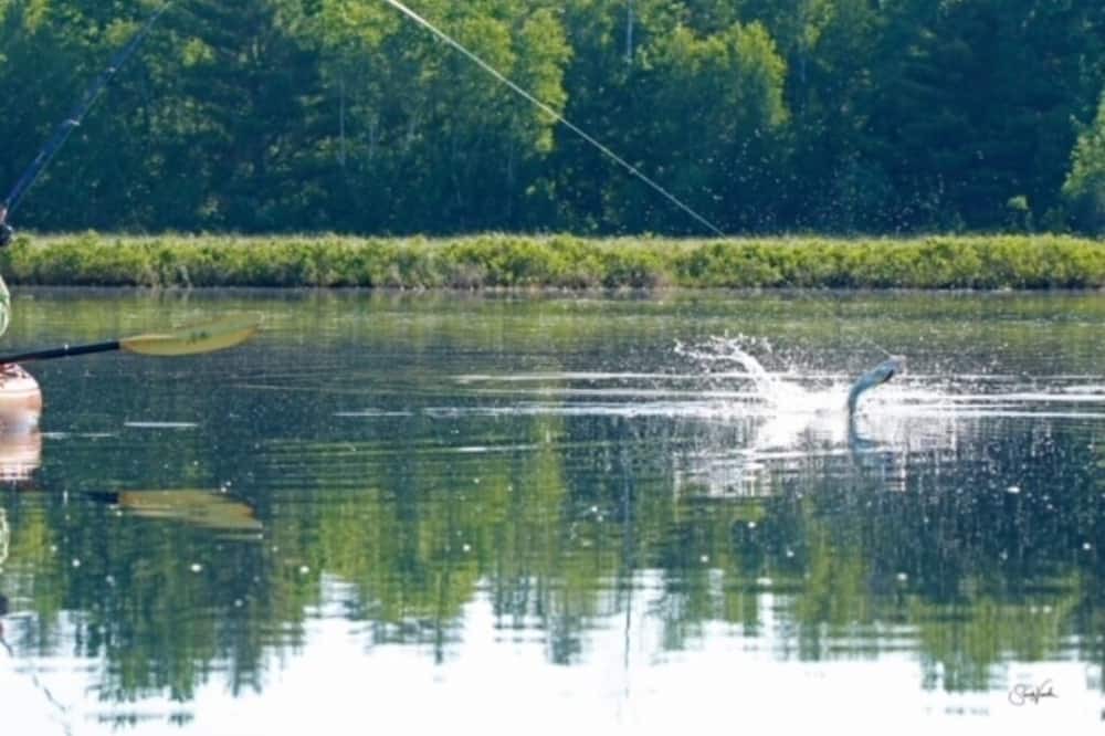 Photo of Others in Baileyville