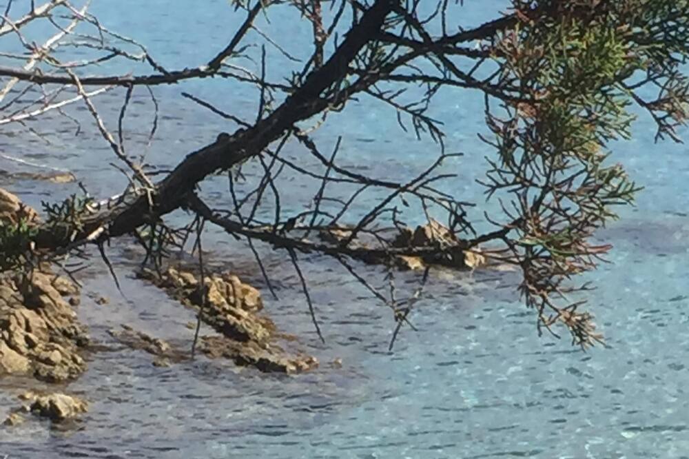 Photo of Others in Cala Liberotto