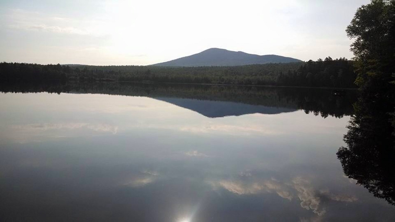 Photo of Others in Shin Pond