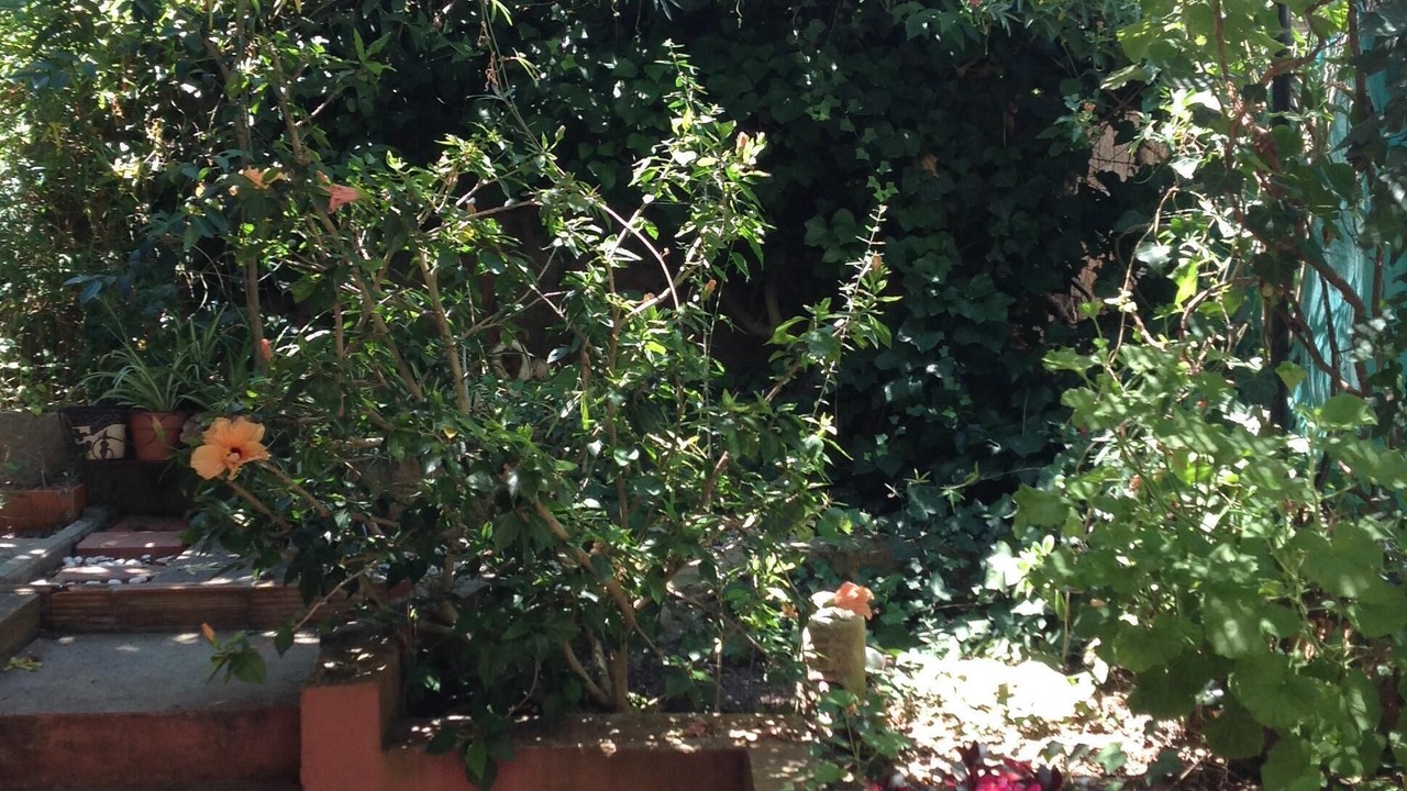 Photo of Outdoor in Maristella