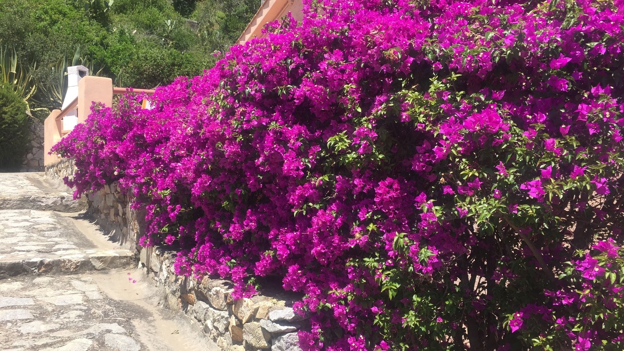 Photo of Outdoor in Mola