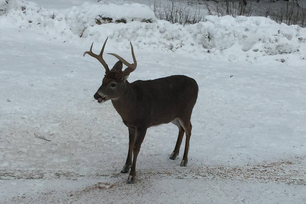 Photo of Others in Brownville