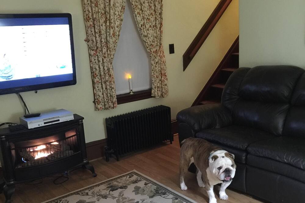 Photo of Livingroom in Brownville