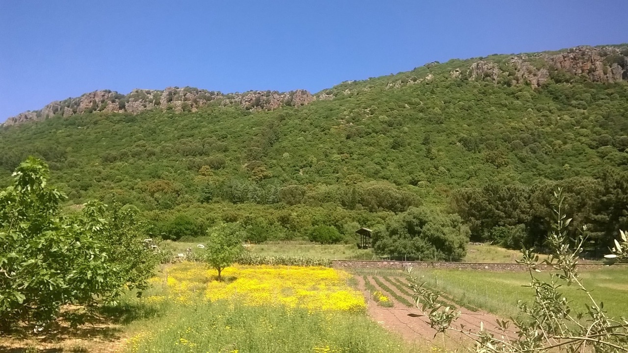 Photo of Outdoor in Villanova Monteleone