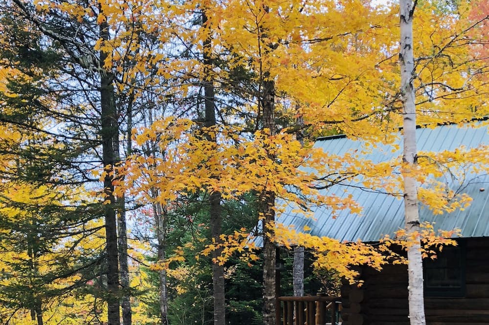 Photo of Outdoor in Masardis