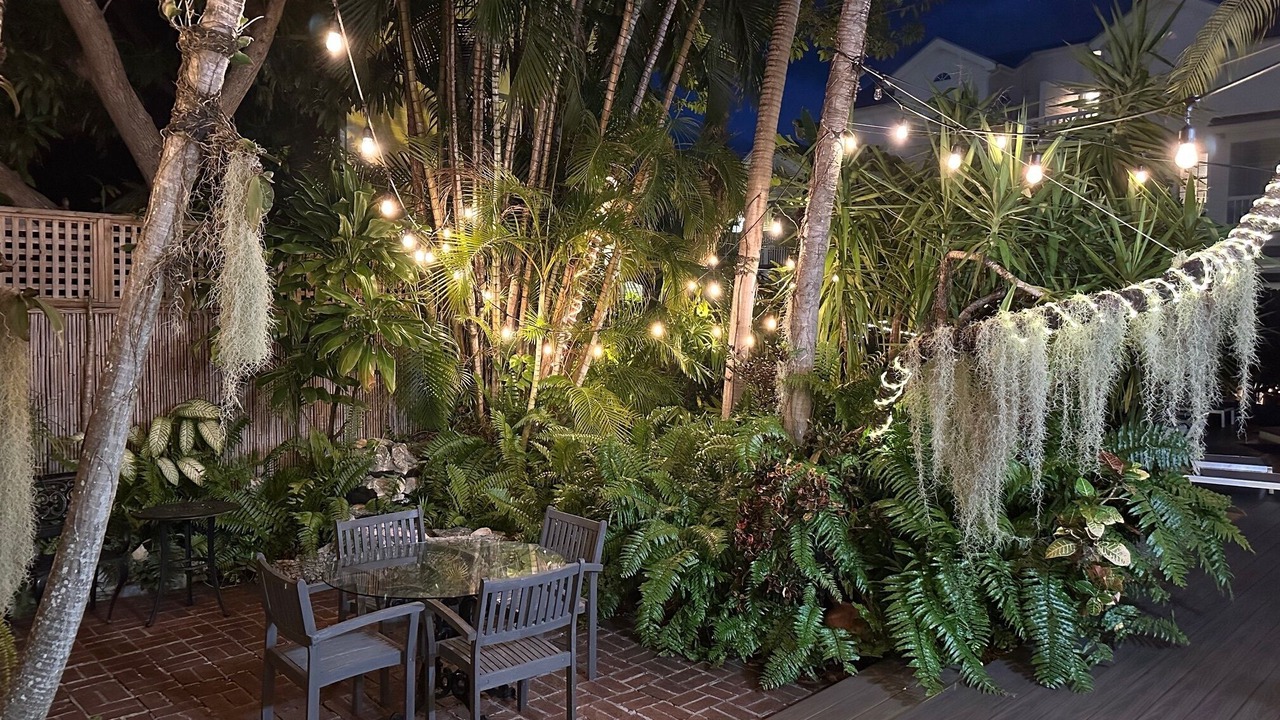 Photo of Outdoor in Uptown - Upper Duval