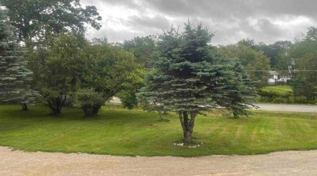 Photo of Others in West Enfield
