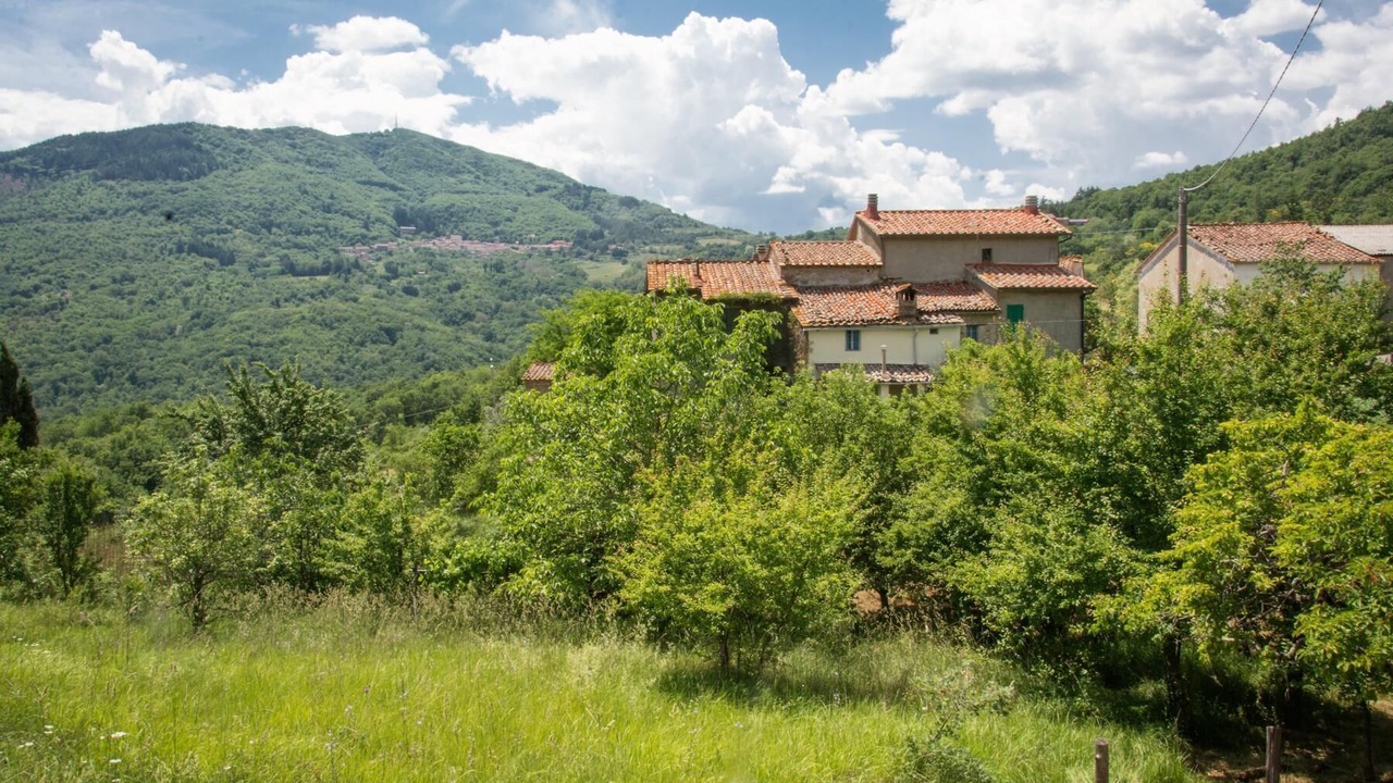 Photo of Others in Montieri