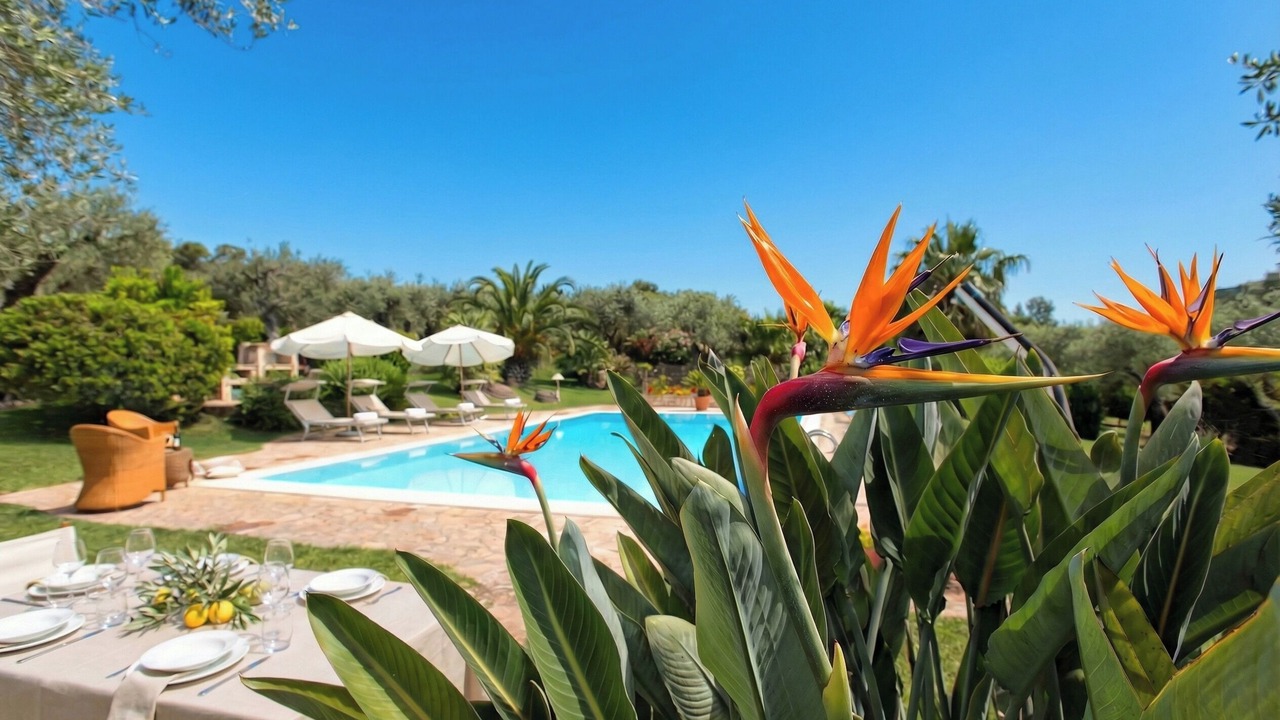 Photo of Outdoor in Alghero