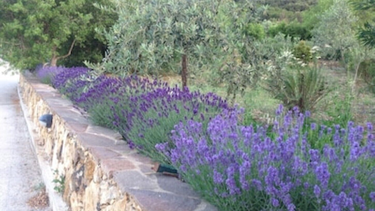 Photo of Outdoor in Jerzu