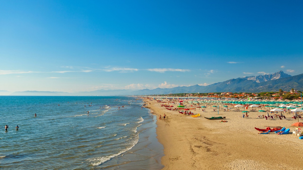 Photo of Others in Follonica