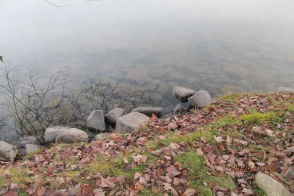 Photo of Others in Belgrade